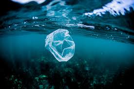 This covers everything from disney, to harry potter, and even emma stone movies, so get ready. Tackling Plastic Pollution With Trivia