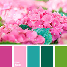 Color Palette 2670 Color Palette Ideas Color Palette Pink Color Balance Color Schemes