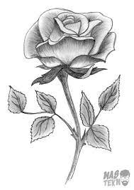 We would like to show you a description here but the site won't allow us. Gambar Sketsa Bunga Rose