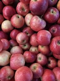 Shawn Hubbell S Apple Crisp With Cranberry Oatmeal Topping Oatmeal Toppings Apple Crisp Best Apple Crisp