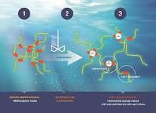 HEUR | Arkema Rheology & Specialty Additives