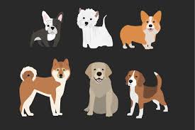 Hipster Dogs And People With Pet Hipster Dog Photo Crafts Diy Pets