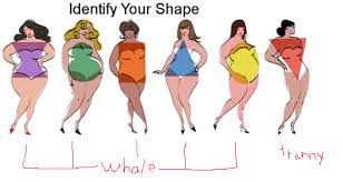 body shape chart for women bodybuilding com forums