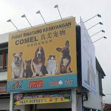 Penang wholesale mall operates more than 5 years since 2013 and we ship from penang, malaysia to enjoy free shipping, download free shipping voucher 100% guaranteed high quality products! Carissa Pet Shop Home Facebook