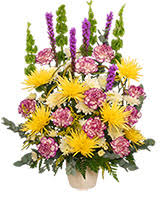 Lima es una ciudad ubicada en el condado de allen en el estado estadounidense de ohio. Sympathy Flowers Mohler S Flowers By Uhl Lima Oh