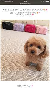 愛沢えみりブログをちょっとだけ | EmiriaWizを運営する株式会社voyage スタッフブログ