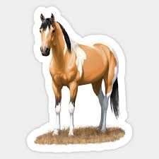 Suede would make a great ranch or trail horse. Beautiful Buckskin Pinto Quarter Horse Paint Stallion Horses Sticker Teepublic