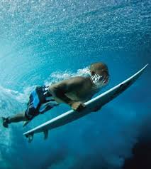 Image result for gambar duck diving