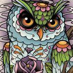 Daniel Loyal (daniel_loyal)