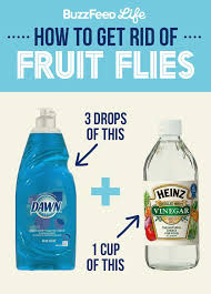 Our Trick For Getting Rid Of Fruit Flies Is Simple Put Three Drops Of Dish Soap Whatever Kind You Use Into 1 Cup O Fruit Flies Cleaning Fruit Flies In House