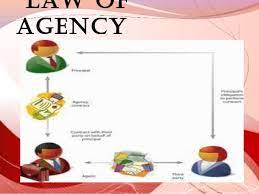 Search for court judgments, legal cases and legislation. Law Of Agency