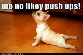 Inspiring Push Ups Www Fitnessaces Com Inspiring Push Ups Dog Doing Yoga Puppies Yoga Dog Yoga