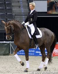 Carsten sostmeier übertragung aus balve. A Day At The 2011 Cdi Stuttgart
