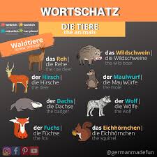 Forest Animals In German Waldtiere Auf Deutsch Waldtiere Wildschwein Eichhornchen