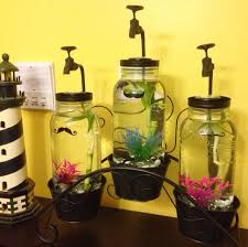 Diy Betta Fish Mason Jar Fish Tank Aquarium Diy Fish Tank Aquaponics Aquaponics Diy