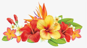 Hawaiian flowers that start with p. Tropical Flower Png Images Free Transparent Tropical Flower Download Kindpng