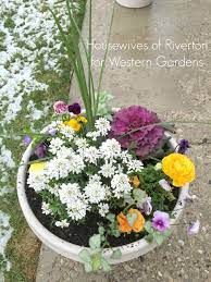 Early spring is a vulnerable time for honey bees and native bees. 8 Tips Planting Early Spring Flower Pots Western Garden Centers