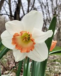 24407 halsted rd, farmington hills, mi 48335, usa. Steinkopf Nursery Home Facebook