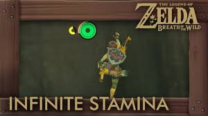 120 Shrines, 27 Hearts, 3 Wheels Of Stamina, 1 Spirit Orb Left Over? :  R/Breath_Of_The_Wild