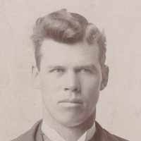 David William Bateman (1872–1926)