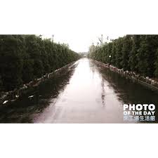 屏東內埔鄉東片村的學生宿舍 微風學院 竟然有一條長長的 綠色走廊 剛好在雨天送床來到宿舍裏 遇見潮濕路面上綠樹的倒影 更添美麗 床工場生活館 photooftheday country roads road