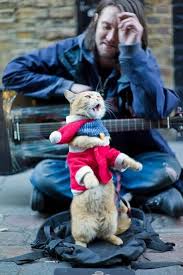 Cat Bob E James Bowen Pesquisa Google Street Cat Bob Cute Animals Cats