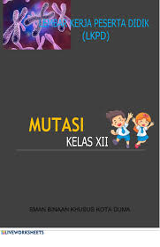 We did not find results for: Soal Biologi Mutasi Kelas 3 Pusat Soal