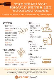 28 Foods Not To Feed Your Dog And A List Of Those You Can
