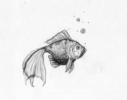 1001 Images Du Dessin Au Fusain Et Les Techniques A Adopter Dessin Au Fusain Dessin Poisson Dessin