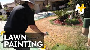 California S Drought Is So Bad Some People Are Painting Their Lawns Green Huffpost Life