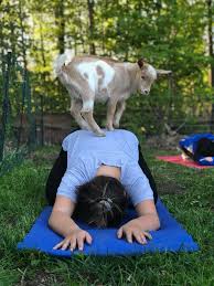 We have good rates for rehearsals, workshops, and special events. 10 Local Outdoor Yoga Events To Get Your Zen The Boston Globe