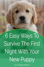 6 Simple Tips For Surviving The First Night With Your New Puppy Tutor Your Dog New Puppy First Night With Puppy Puppies
