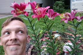 Transplanting irises and lilies to sunny area