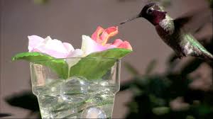 All of our picks are red, and that's no accident — hummingbirds prefer red feeders because most of the flowers they feed from have red in them. Diy Silk Flower Hummingbird Feeder Youtube
