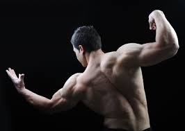 Body side stock photos and images (58,878). Monster Mass Building Part Iii Beastly Back Biceps Dragon Gate Wellness Fitness