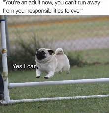 Some Humor To Put A Smile On Your Face Happy Thursday Pugs Funny Animal Pictures Cute Pugs