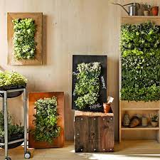 Simple tips and tricks from expert gardeners. 8 Simple Ways To Create An Indoor Vertical Garden In Your Home