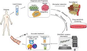 Ctdna testing examines a patient's blood to detect dna fragments from cancer cells . Tumor Circulome In The Liquid Biopsies For Cancer Diagnosis And Prognosis