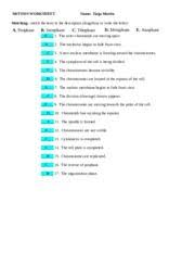 Image Result For Mitosis Worksheet 2 Answer Key Mitosis Worksheets Word Search Puzzle