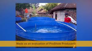 Jual Kolam Terpal Banjarmasin Youtube