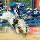 Elizabeth Stampede Rodeo