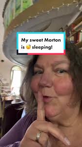 Quiet as a church mouse #shhh #husband #sleeping #the1870 #the1870studio