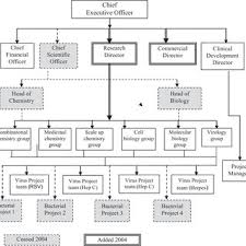 Organization Chart Showing Key Capability Areas Of Avertical