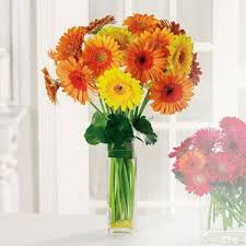 Welcome to kd & company, llc now 4 locations to serve the floral community. Richmond Va 23229 Florist Danny S Flower Market