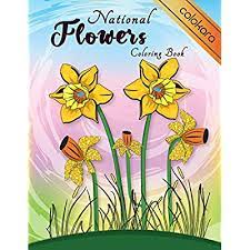 I used to love going on pinterest and finding thousands of free coloring pages until i realized that a lot of them were stolen. Buy National Flowers Coloring Book Easy Flower Coloring Book For Seniors Adults National Flora Around The World Coloring Pages Botanical And Beautiful And Relaxation Large Print Easy To Color