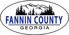 Tax Commissioner Fannin County Georgia Government