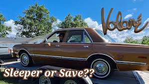 Image result for Golden Fawn 1976 Plymouth
