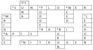 We did not find results for: Complete The Crossword Puzzle Fig 15 2 Across 1 Oil Yielding Plant 9 3 Crop Grown In