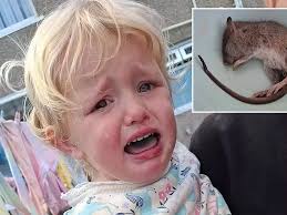 Rats running rampant in my garden bit my granddaughter