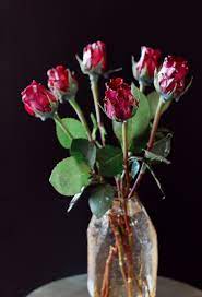 Does dipping flowers in wax work. Wax Dipped Flowers Camille Styles
